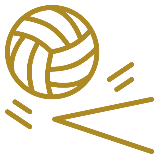 Volleyball Court